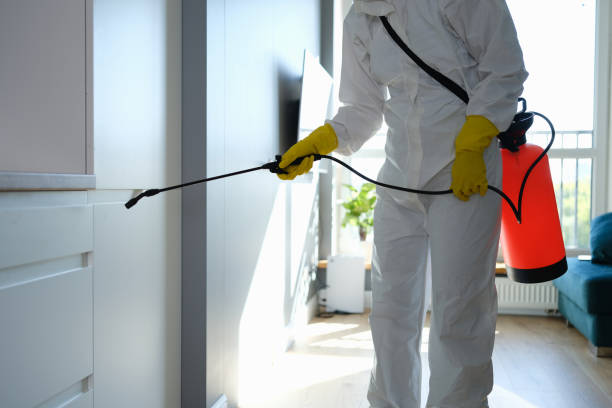 Best Bathroom Mold Remediation in Wagener, SC