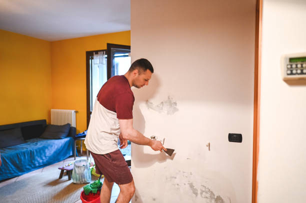 Best Localized Mold Remediation (e.g., coastal areas, humid climates) in Wagener, SC